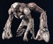 Eustachio, the Eccentric