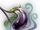 Zandemo Eggplant