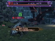 Novice Grex