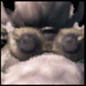 Nan 牵绊.png