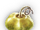 Babaco Leaf icon.png