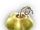 Babaco Leaf icon.png