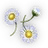 Jaharmum icon.png