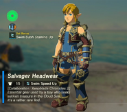 BotW XC2 Set Bonus