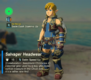 Link wearing all three pieces of Rex's costume and being granted the Swim Dash Stamina Up set bonus