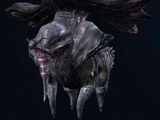 Ignit, the Ultimate Chaos