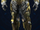 Soales 8-M.png