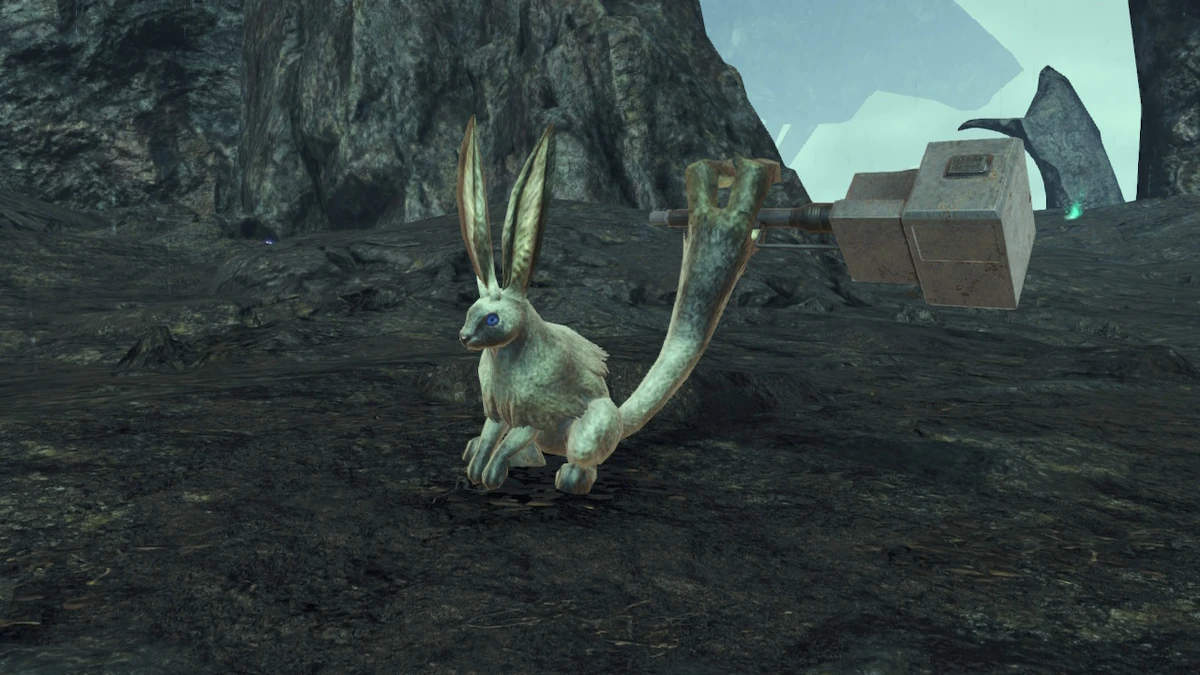 Varran Bunnit | Xenoblade Wiki | Fandom