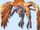 Makna Ansel (Bionis' 肩)