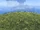 Kneecap Hill