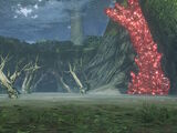 Decayed Forest