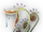 Flowering Morrow Fern icon.png