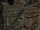 Great Battle Scar side view.png
