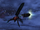 Dim wisp.png