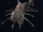 Hartmut Index.png