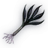 Belzadozebu Scallions icon.png