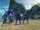 Dodonga 商队 (9).png