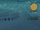 Star Sand Seeker