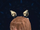 Armet 2-F.png