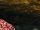 Dark Kisling.png