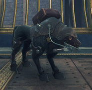 Ardainian Nipper