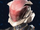 Casca 6-F.png