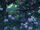 XCX-img-sp-welcome11L-01.jpg