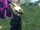 My Dream (5).png