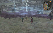 Poison swamp