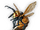 Madness Hornet