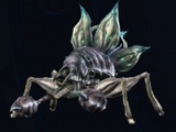 Florence, the Hell Maggot