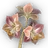 Sleeping Amaryllis icon.png
