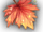 Katoan Leaf