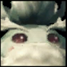 Nupopon 牵绊.png