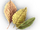 Bananaleaf icon.png