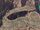Beehive Rock