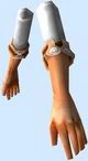 Pc077203.jpg
