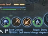 Morale Level