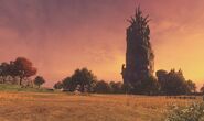 Halcyon Wheats 2