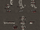 Agniratha.png