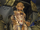 Fiora in Face 世界BOSS.png