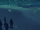 Weaponized (5).png