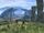 XC1DE-Field-Screenshot-2.jpg