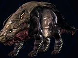 Soldier Grex