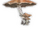 Sibercaseras Mushroom