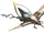 Aetrygon B.png