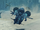 Hraesvelg Skell DE.PNG
