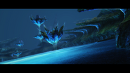 Hovering Reefs