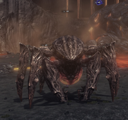 GadoPetra