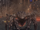 GadoPetra.png
